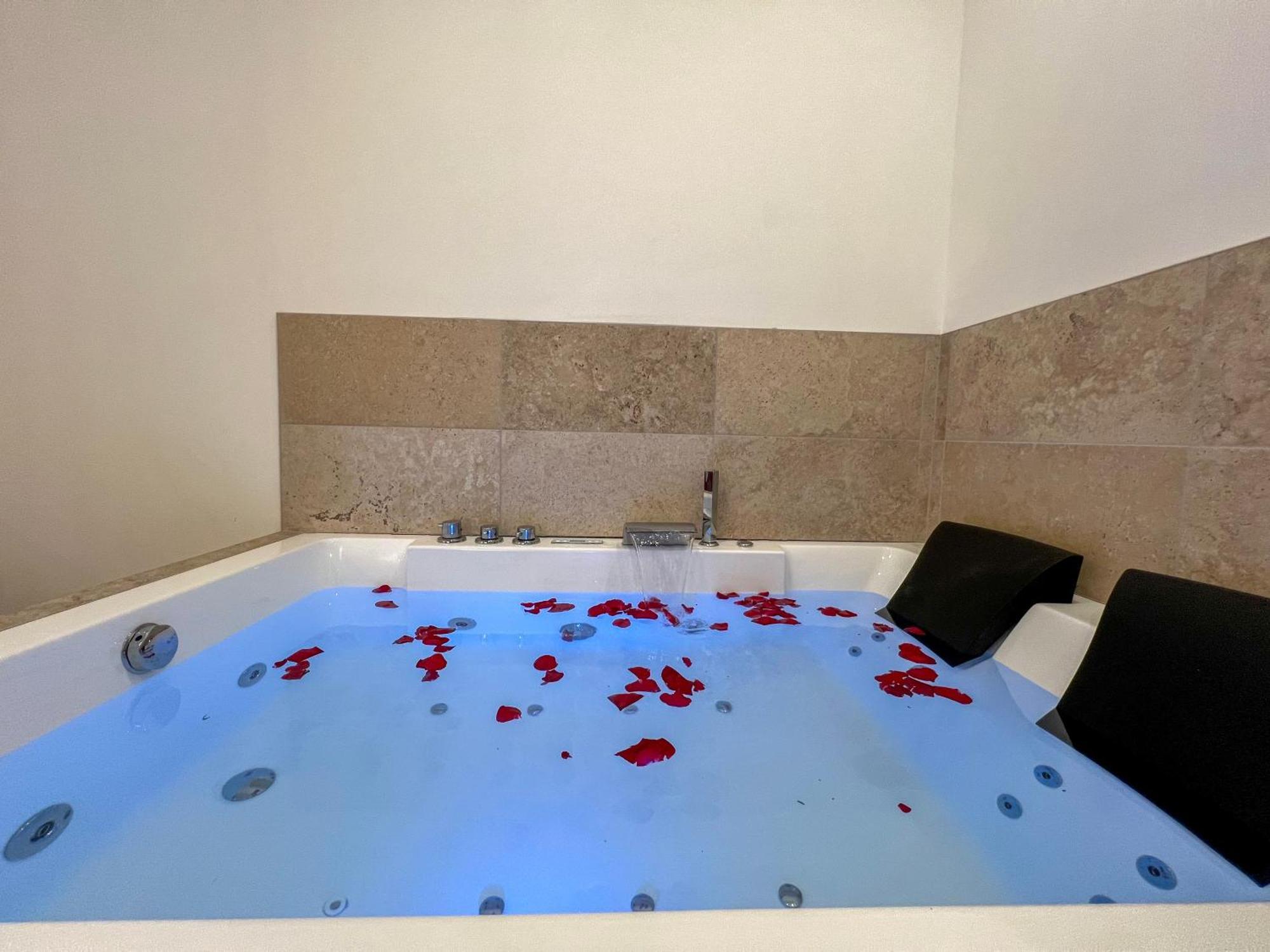 생테티엔 Bibemus Casa Maja - Baignoire Balneo - Parking - Terrasse 아파트 외부 사진